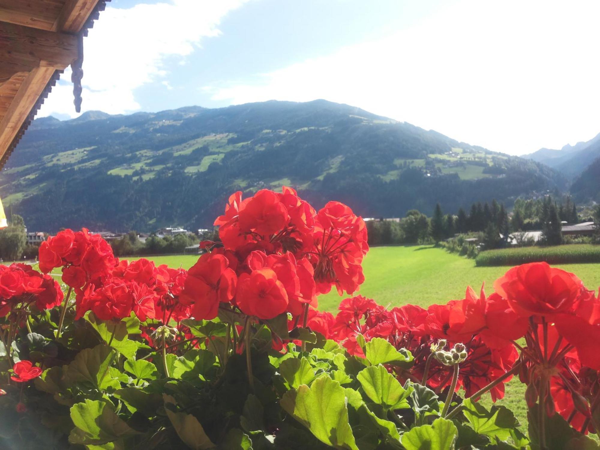 Tirol Appartement Haus Zillertal زيل أم زيلر الغرفة الصورة