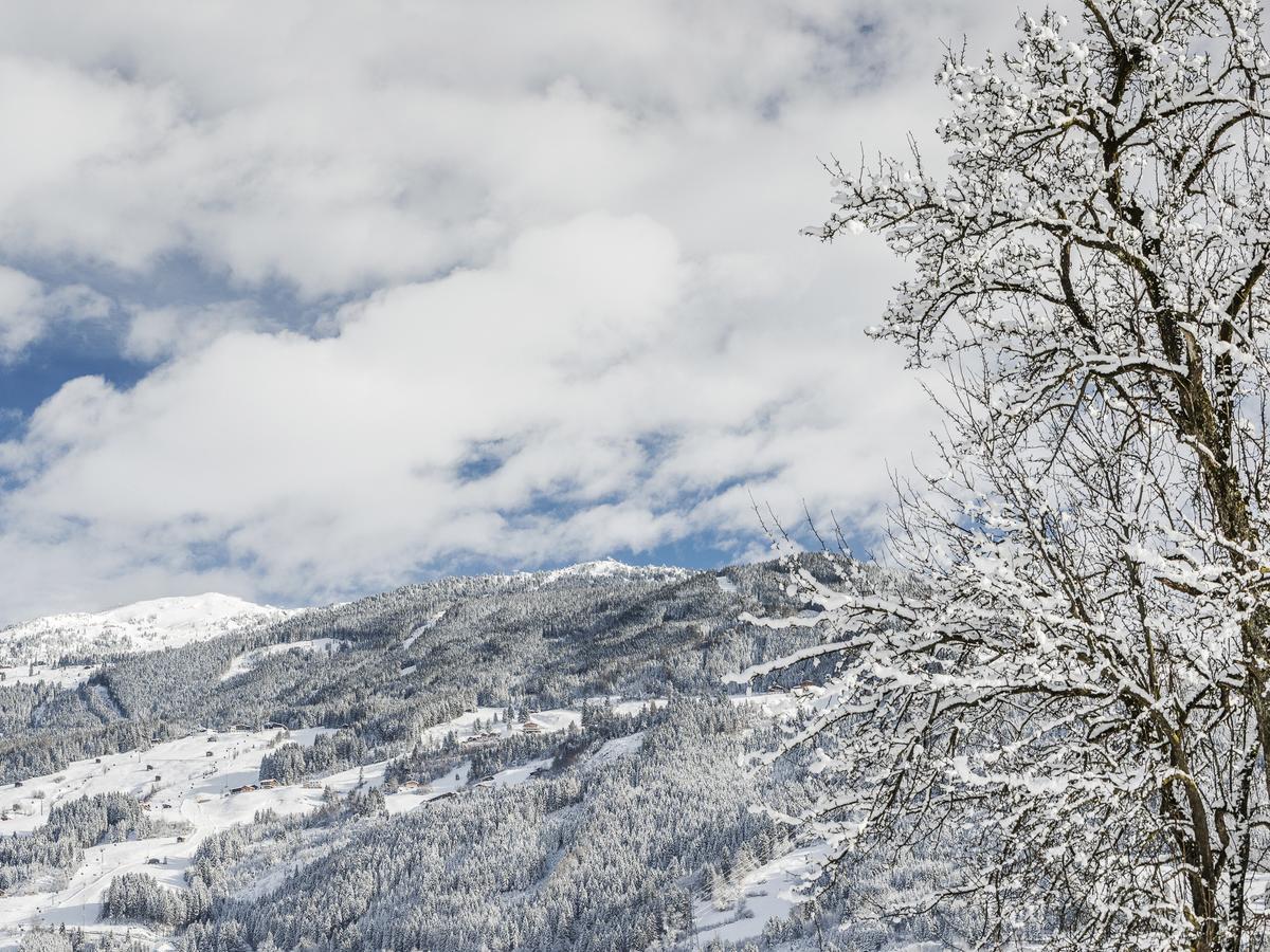 Tirol Appartement Haus Zillertal زيل أم زيلر المظهر الخارجي الصورة